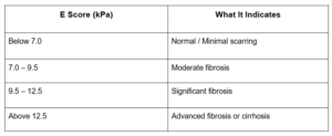 Liver Stiffness Score (E Score)
